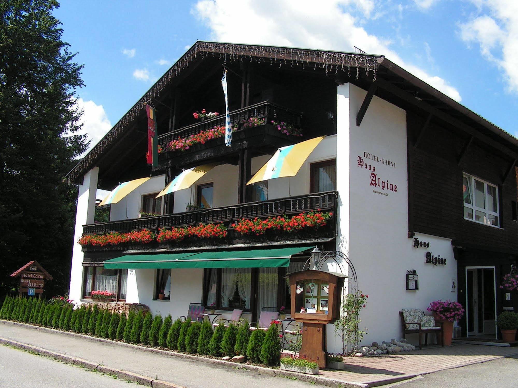 Hotel Garni Haus Alpine Рупольдинг Экстерьер фото